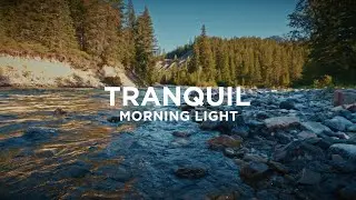 Riverside Morning - Rocky Mountains of British Columbia
