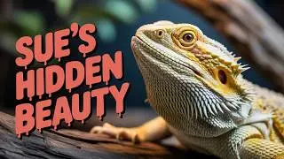 Bearded Dragon Sue's Hidden Beauty #beardeddragon #reptiles #lizards #shorts #snakes