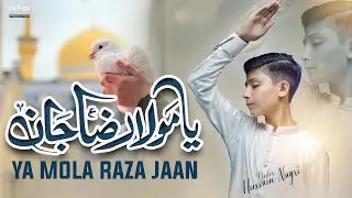 Ya Mola Raza Jan || New Mola Raza (a.s) Manqabat 2024 || Rab Production || Hussain Nagri