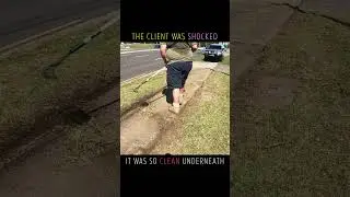 Clean Crisp Edging Gets The Tick of Approval