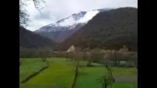 rostuse