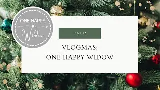 VLOGMAS DAY 12: Visiting the Donkey Farm To See Our Pregnant Mini Donkey Mamas! // One Happy Widow
