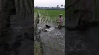 Analog way te Pani Uttolon by a farmar_ft M_r_Tushar.full HD 720p.