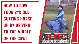 How To Cow Your 2yr Old Cutting Horse Up By Driving To The Middle Of The Cow!