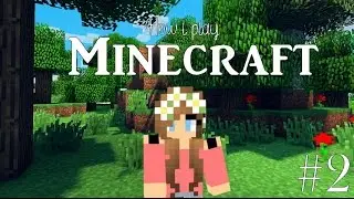 How I Play Minecraft #2 - Building Up!