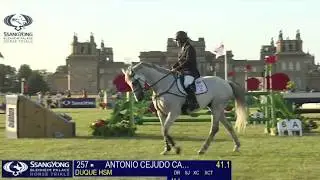 Duque HSM, Blenheim CCI 4* S 8yo