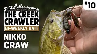 NIKKO Craw // Creek Crawler's Bi-Weekly Bait # 10