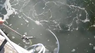 Venturi system submerged