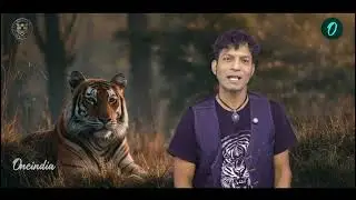 Global Tiger Day| BAAGH Tiger -The inside story| Abhishek Ray & Royal Ranthambore| Conservation |