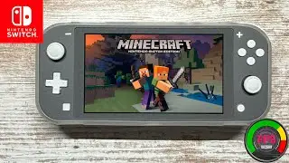 Minecraft Nintendo Switch Lite Gameplay - FPS Monitor