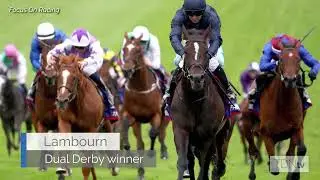 Australia Setting The Bar As He Adds A Dual Derby Winner To His Haul
