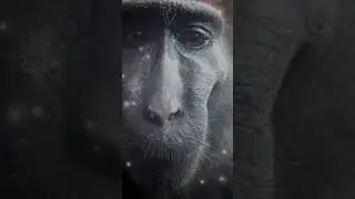 merry Christmas sry for late I show my friend face in this video 😈