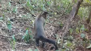 New Wildlife Observation Point with Trail Camera