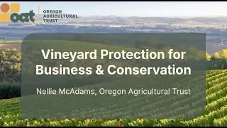 Vineyard Protection for Business and Conservation Goals