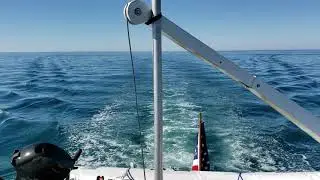 Commander 55 Offshore