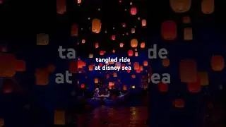 TANGLED RIDE AT DISNEY SEA #disneysea #tokyodisneysea #disneylandjapan #rapunzelride #disneyride