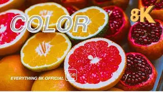 The most beautiful colors of Nature in EVERYTHING 8K OFFICIAL #colors #8k #hd #hdr
