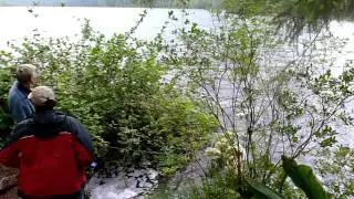 perseverance lake trail