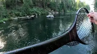 plumas county fly fishing