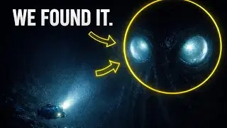 Giant Squid Caught on Camera for the First Time | Deep Ocean Mystery