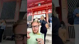 Япония официально потрясающая. Обязательно посетите её в 2026 году.