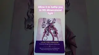 Dragon Message: what does the lilac fire dragon want to reveal to you today?