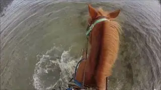 GoPro Trail Ride at Williams Beach