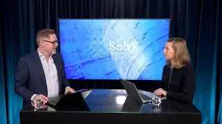 SaltX Q3 2024