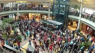 Flash mob at Dulles Town Center