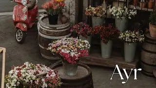 We visit Dobbies Garden Centre close to Ayr & Alloway