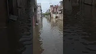 Ambala flood || 2025 || flood in Ambala