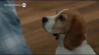 Man's Best Friend | General Hospital (September 17th, 2025)
