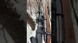 Boar hunting in Eastern Wild Serbia Zastava M70 - Vortex Strike Eagle 1-6x24 #vortexoptics #hunting