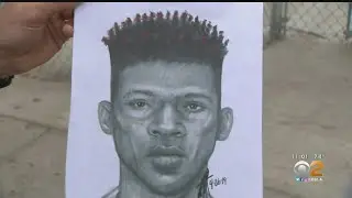 Girl, 10, Escapes 'Brazen' Kidnapping Attempt