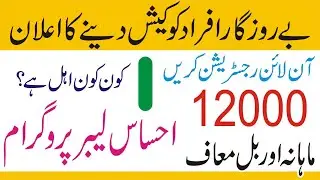 Ehsaas Labour Fund Program - Ehsaas Rashan - Ehsas Cash Labor Program - Ehsaas 12000 Online Apply
