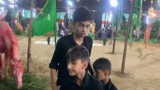 9 moharram 2022, Naugawa Sadat