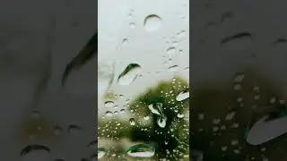 Large raindrops on window pane #raindrops #glass