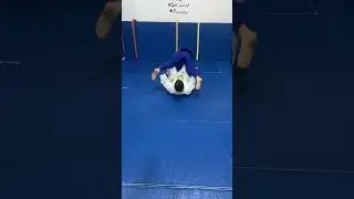 Judo Roll Training 💥 Improve Your Breakfall | #Shorts #explore