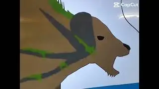 Singing Sker Buffalo