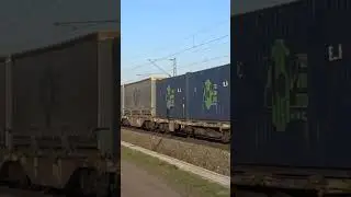Vectron BR193 XLoad SBBCI with MOVE Kombi Freight Train on the way to Switzerland 🇨🇭 #swissrailway