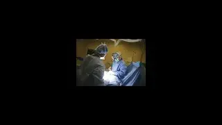Failed Back Surgery Syndrome