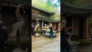 🌿 The Most Beautiful Boat Ride in Vietnam | Trang An Ninh Binh | Wander with Nitish #Shorts