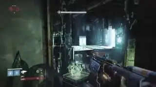 Destiny Omnigul Cheese Spot