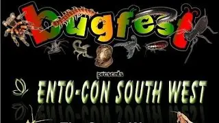 Entocon bugfest 2020 taunton