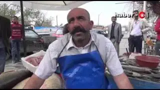 Erzincan da Dev Turna Balığı G&ouml;renleri Hayrete D&uuml;ş&uuml;rd&uuml;