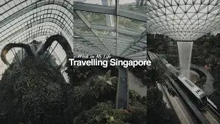 Week in My Life as a Content Creator in Singapore