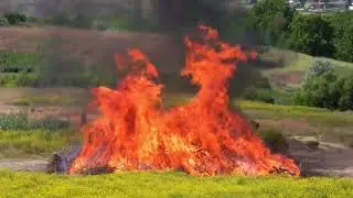 The Annual Burn Pile at Hells Gate State Park, Lewiston, Idaho