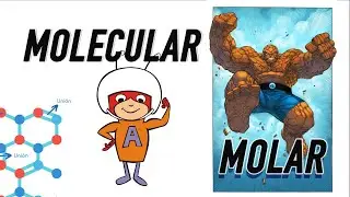 LOGRA entender lo MOLAR Y MOLECULAR en DELEUZE y GUATTARI (RÁPIDO) ⚠
