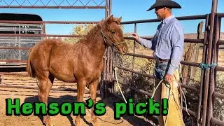 REAL RANCHING = NO FOOD ALL DAY