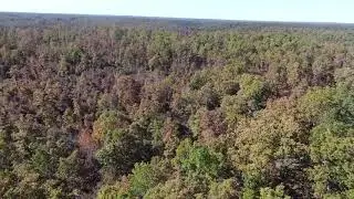 $500 down - Drone Narrated Tract 15 at Chalk Bluff - ID#CB15